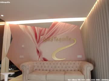 hot cam girl wildtequilla image #1888724