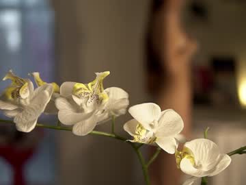 hot cam girl neferpita image #4330527