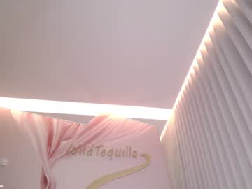 hot cam girl wildtequilla image #4417437