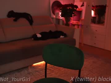 hot cam girl _blackbee_ image #4223566