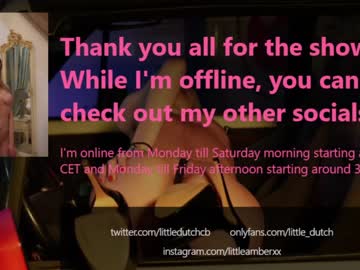 hot cam girl little_dutch image #1585432