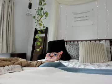 hot cam girl sexyashley_21 image #3124772
