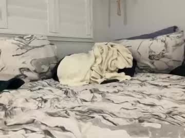 hot cam girl zarabelle_ image #3819411