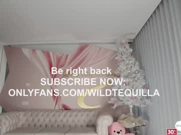 hot cam girl wildtequilla image #3912824